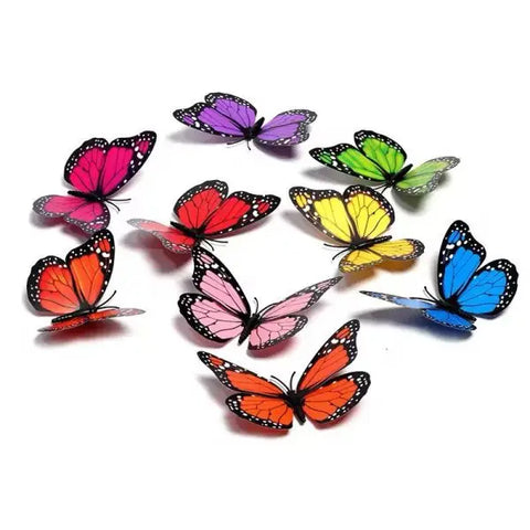 Butterfly Fridge Magnet